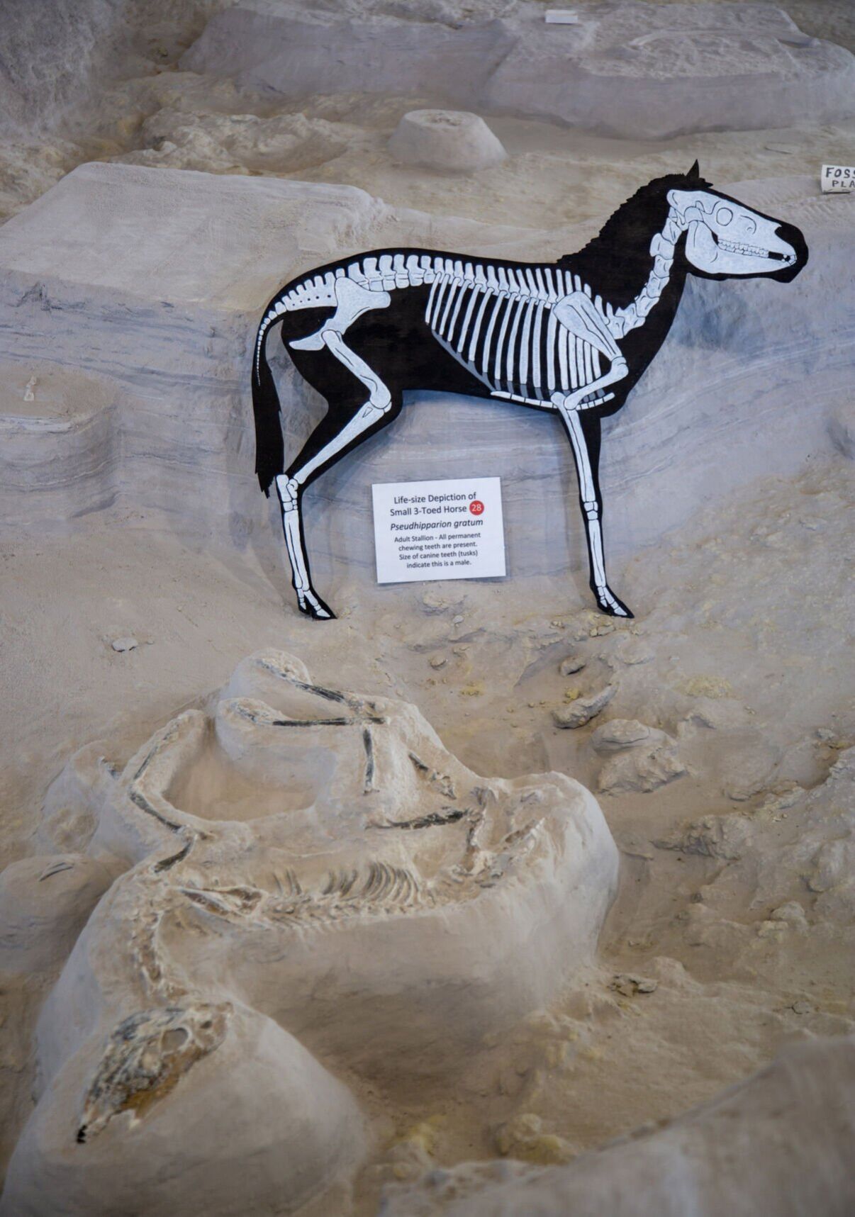 081323-owh-new-passport-ashfall-p5.jpg